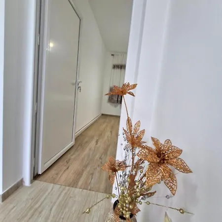 Near Big Fashion * Podgorica